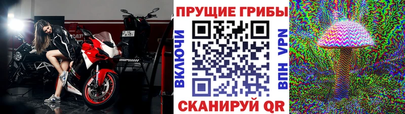 купить  цена  Лодейное Поле  Псилоцибиновые грибы GOLDEN TEACHER 