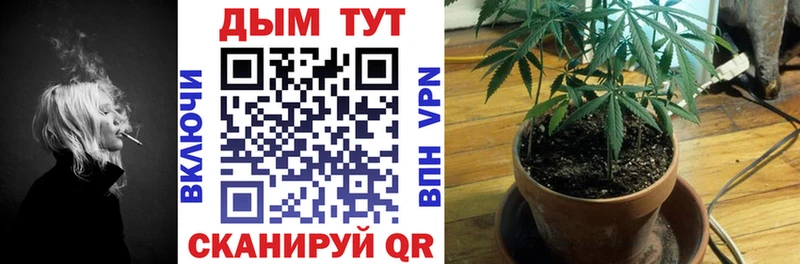 Канабис Ganja  Лодейное Поле 